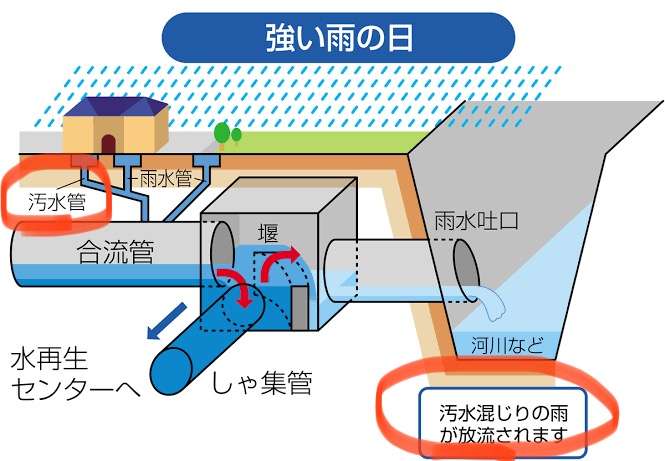 競技開始まで1週間で「お台場トイレ臭」問題再燃！