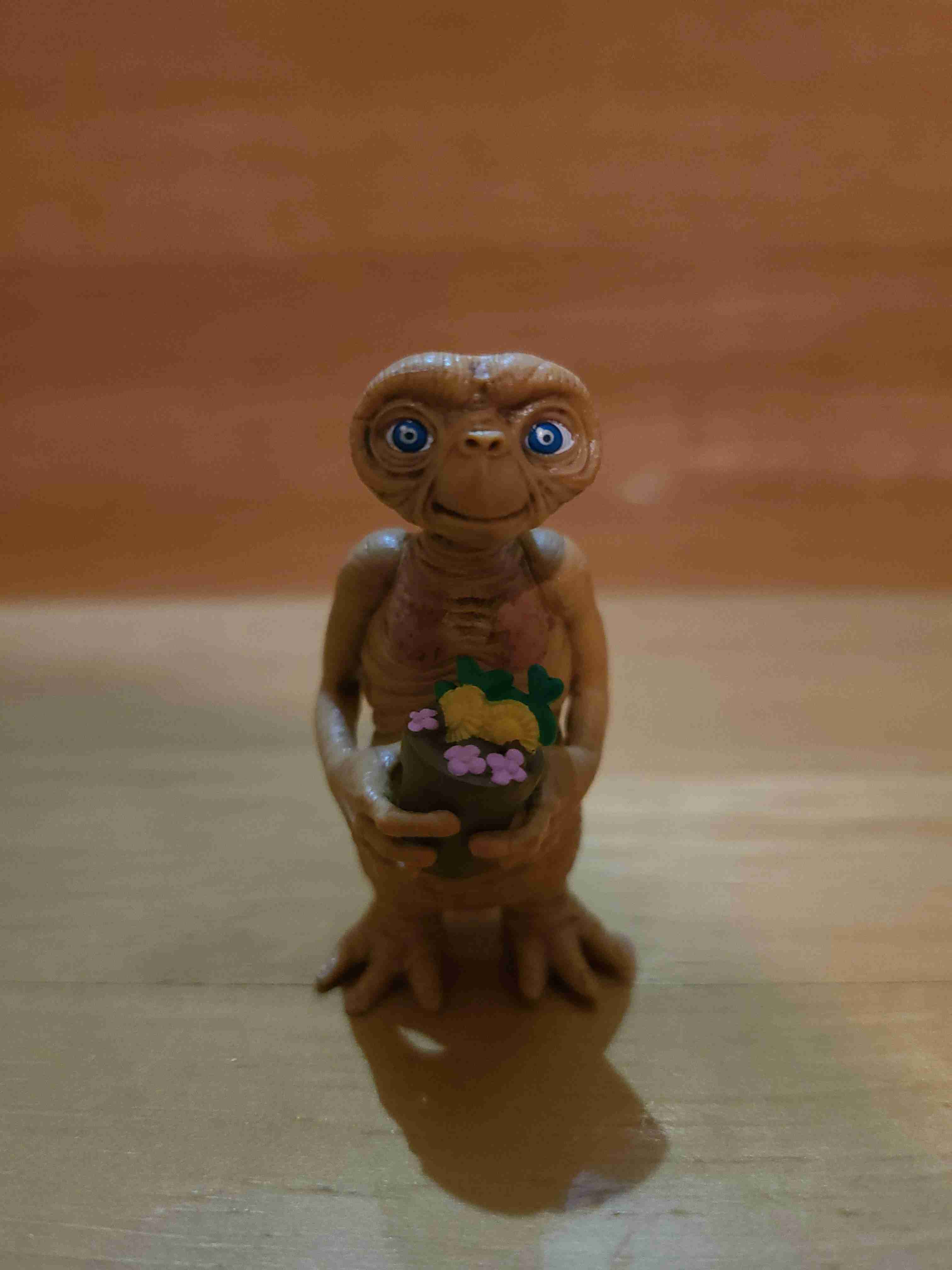 画像でETごっこ