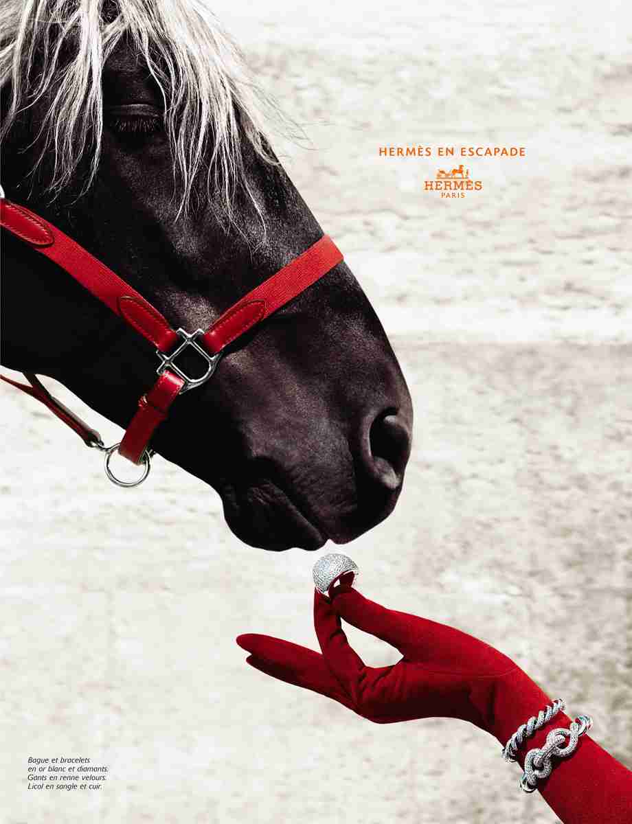 エルメスが好きな人、憧れてる人