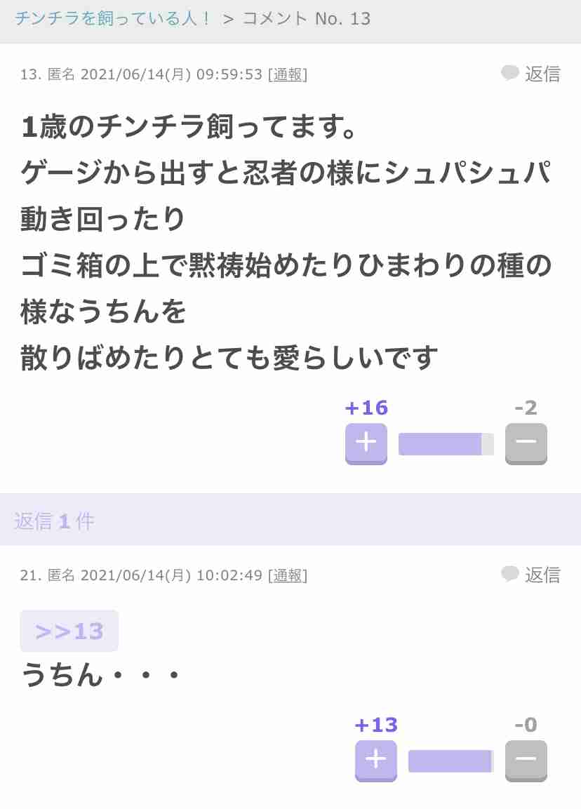 ガルちゃんで思わずスクショしたコメントpart6