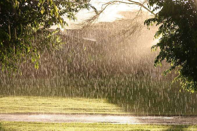「晴れているのに雨が降る」ことを何という？　東と西で呼び名が違っていた