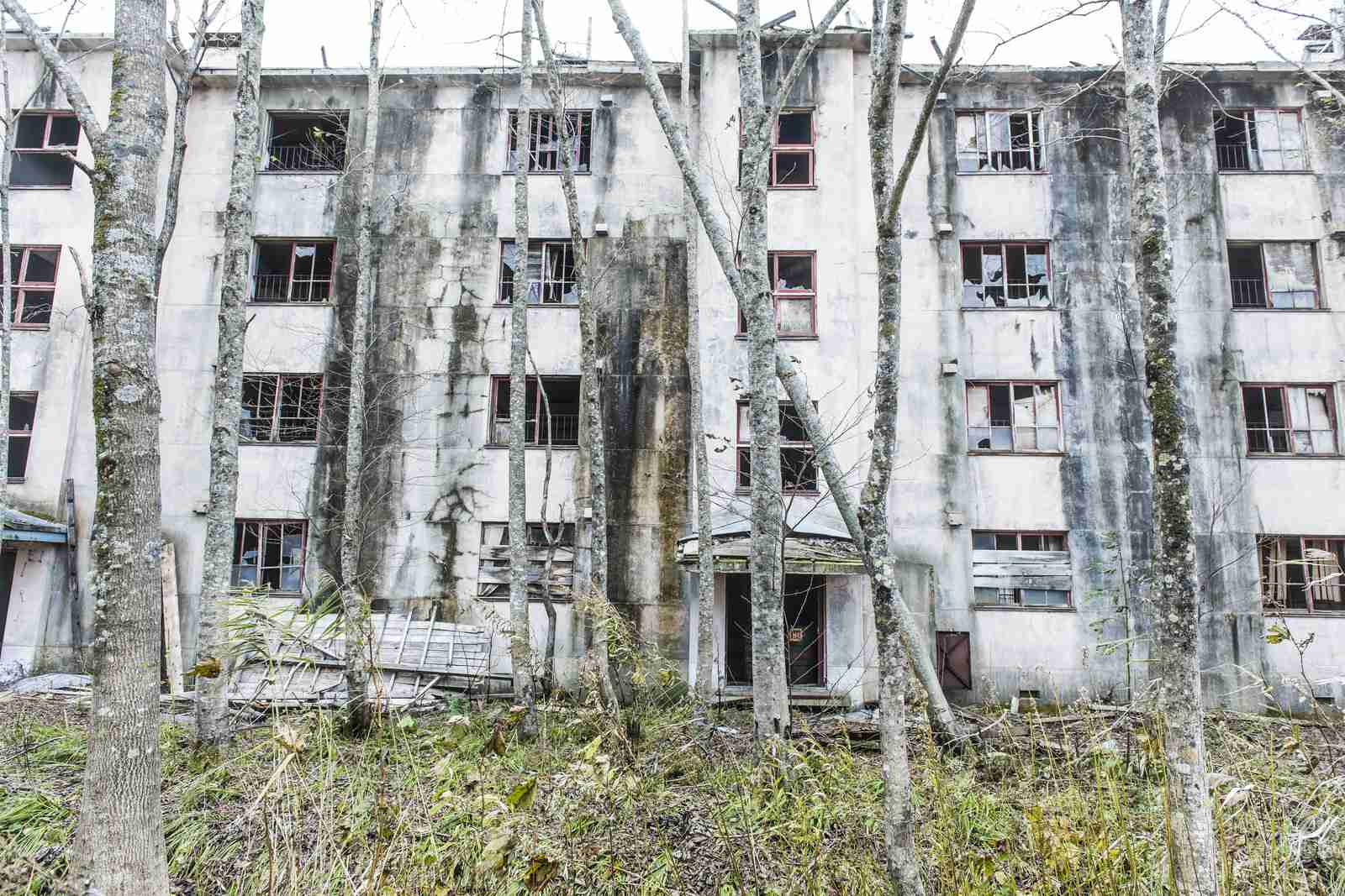《独身》マンション購入をした年齢
