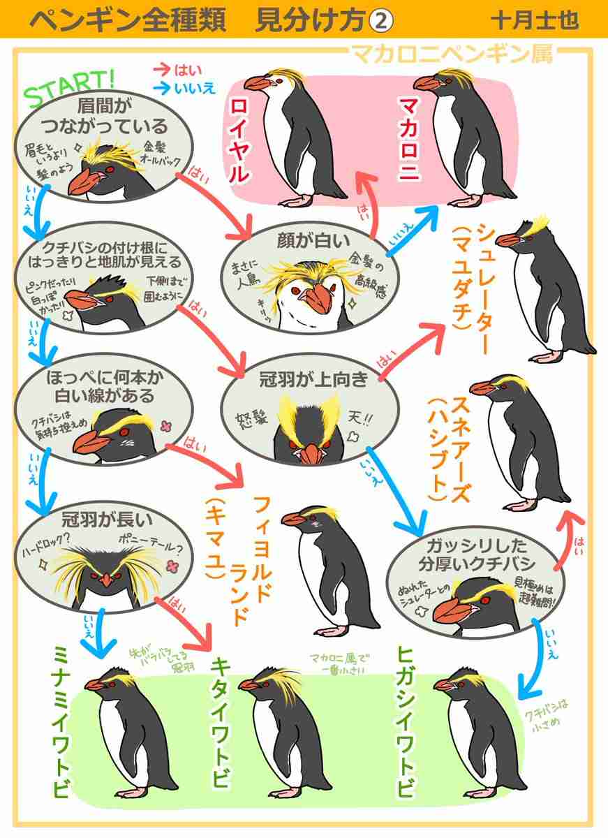 知ってると役に立つチャート、図、イラスト、リストを貼るトピ