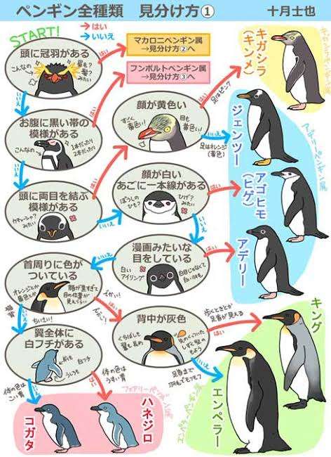 知ってると役に立つチャート、図、イラスト、リストを貼るトピ