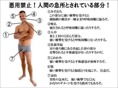 知ってると役に立つチャート、図、イラスト、リストを貼るトピ