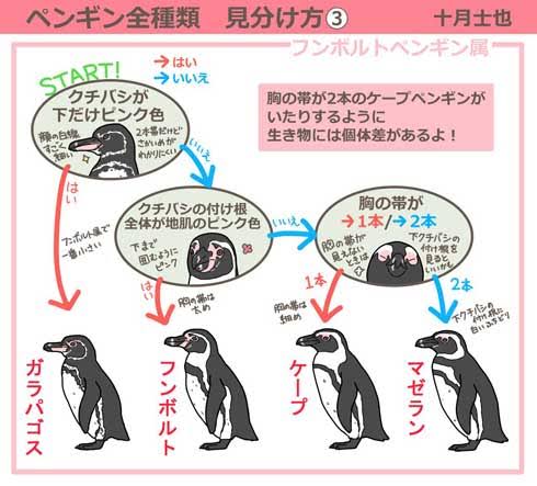 知ってると役に立つチャート、図、イラスト、リストを貼るトピ