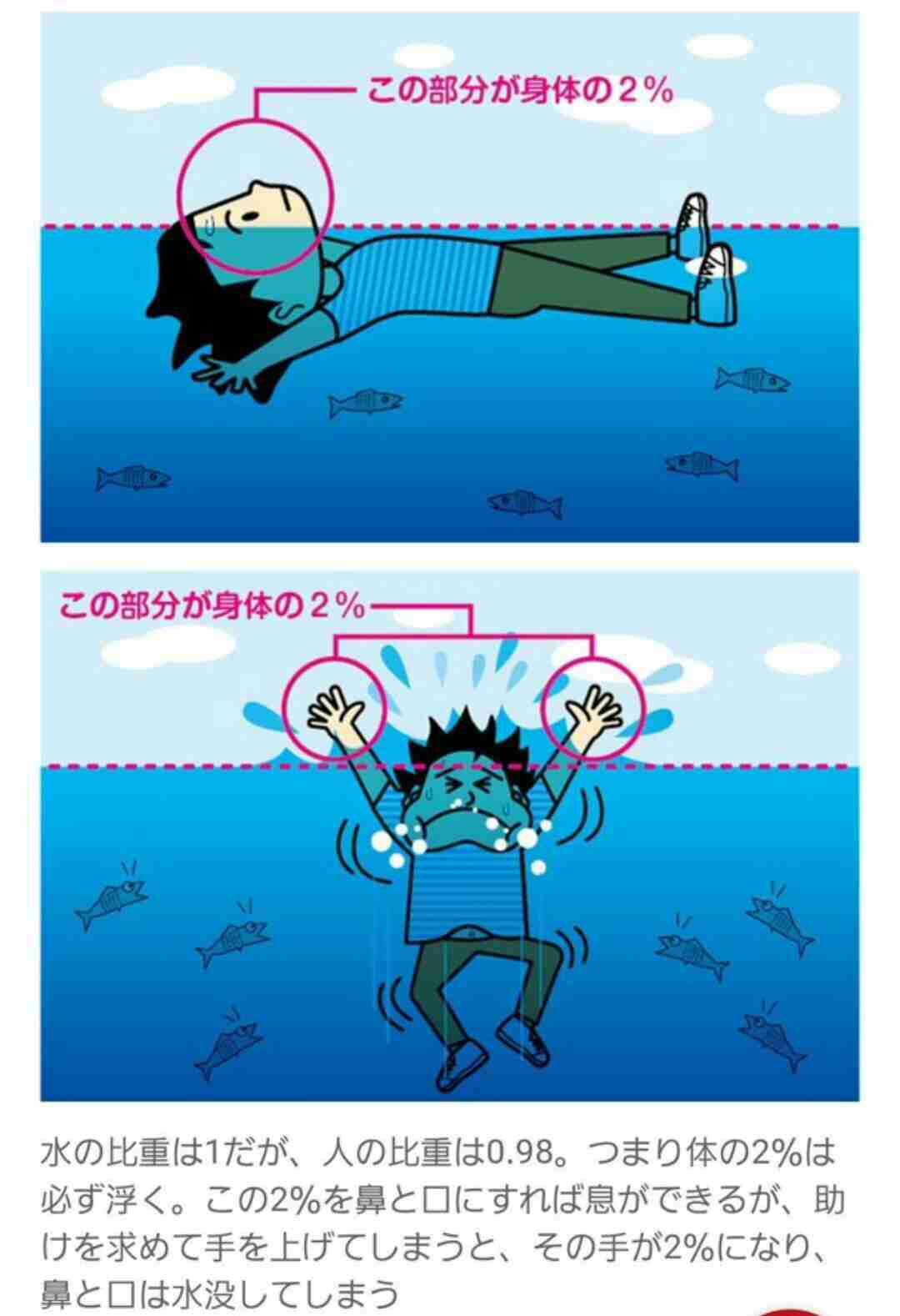 知ってると役に立つチャート、図、イラスト、リストを貼るトピ