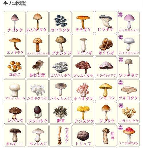 知ってると役に立つチャート、図、イラスト、リストを貼るトピ