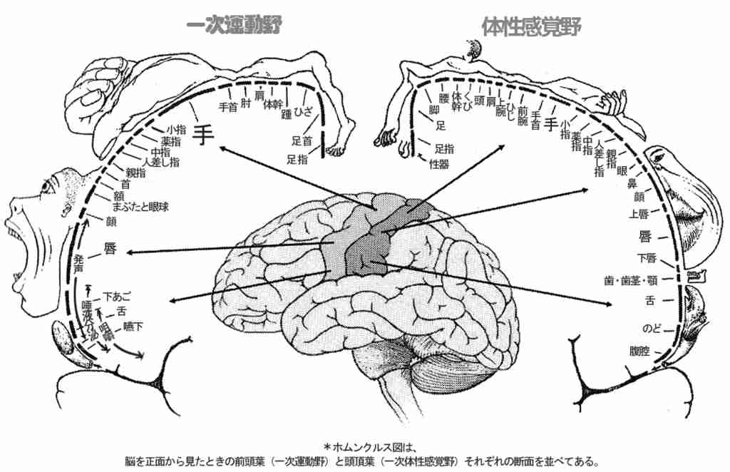 知ってると役に立つチャート、図、イラスト、リストを貼るトピ