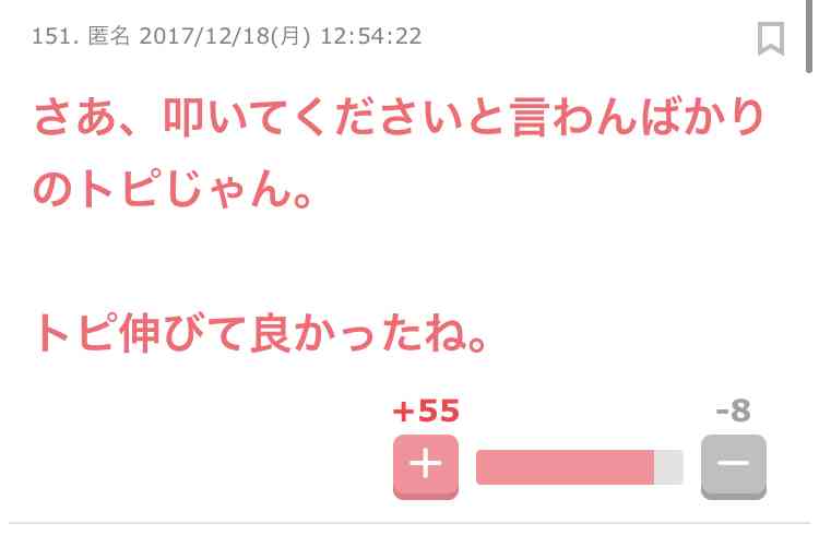堀未央奈「誰かを傷つけるのがSNSの正しい使い方ですか?」率直な思いつづる