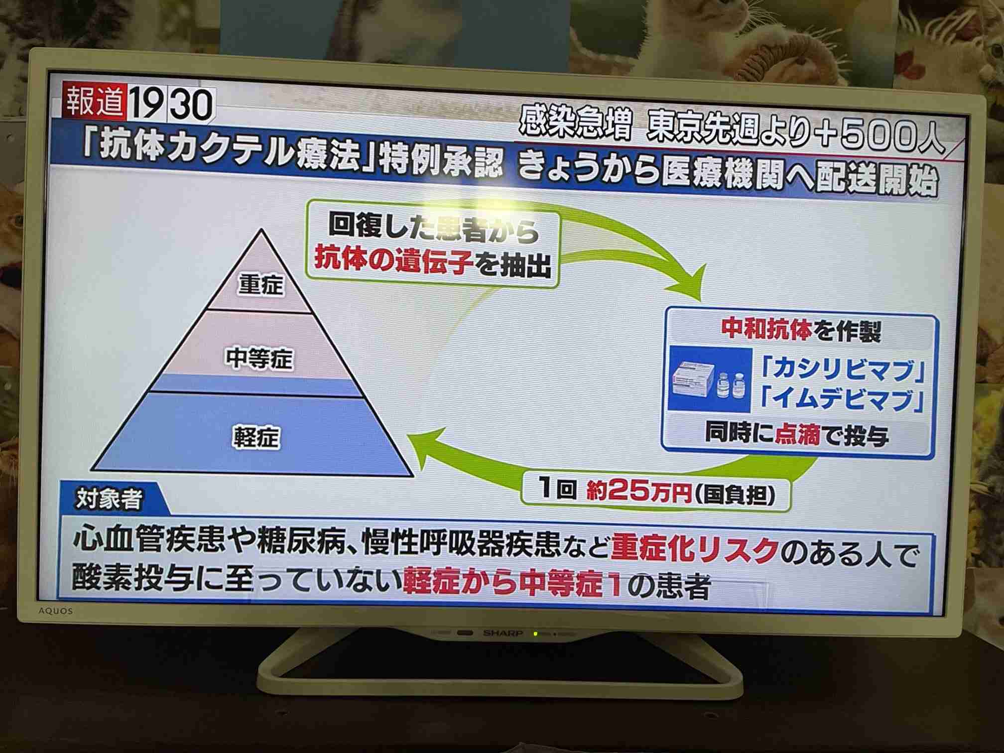 コロナ感染の安田大サーカス・団長安田 肺炎に「入院して1日でも早く復帰したい」数日前から咳止まらず