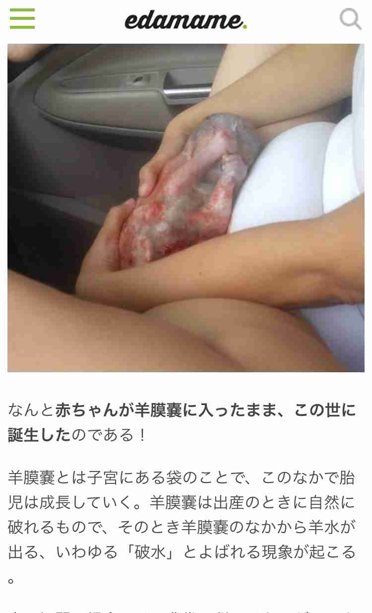 一番珍しい画像を貼った人が優勝part2