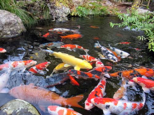 忘れられない恋