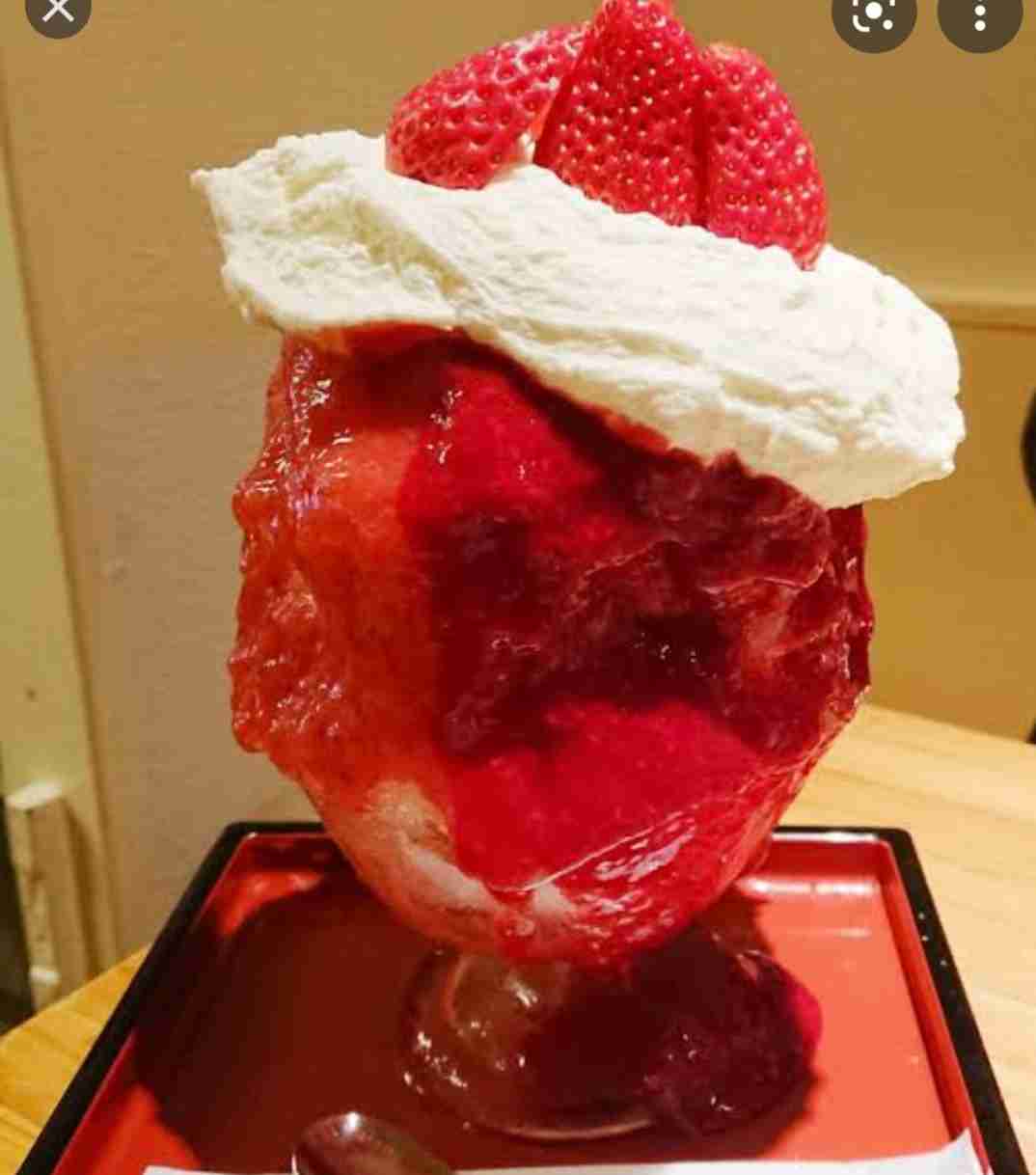 行ってみたい専門店
