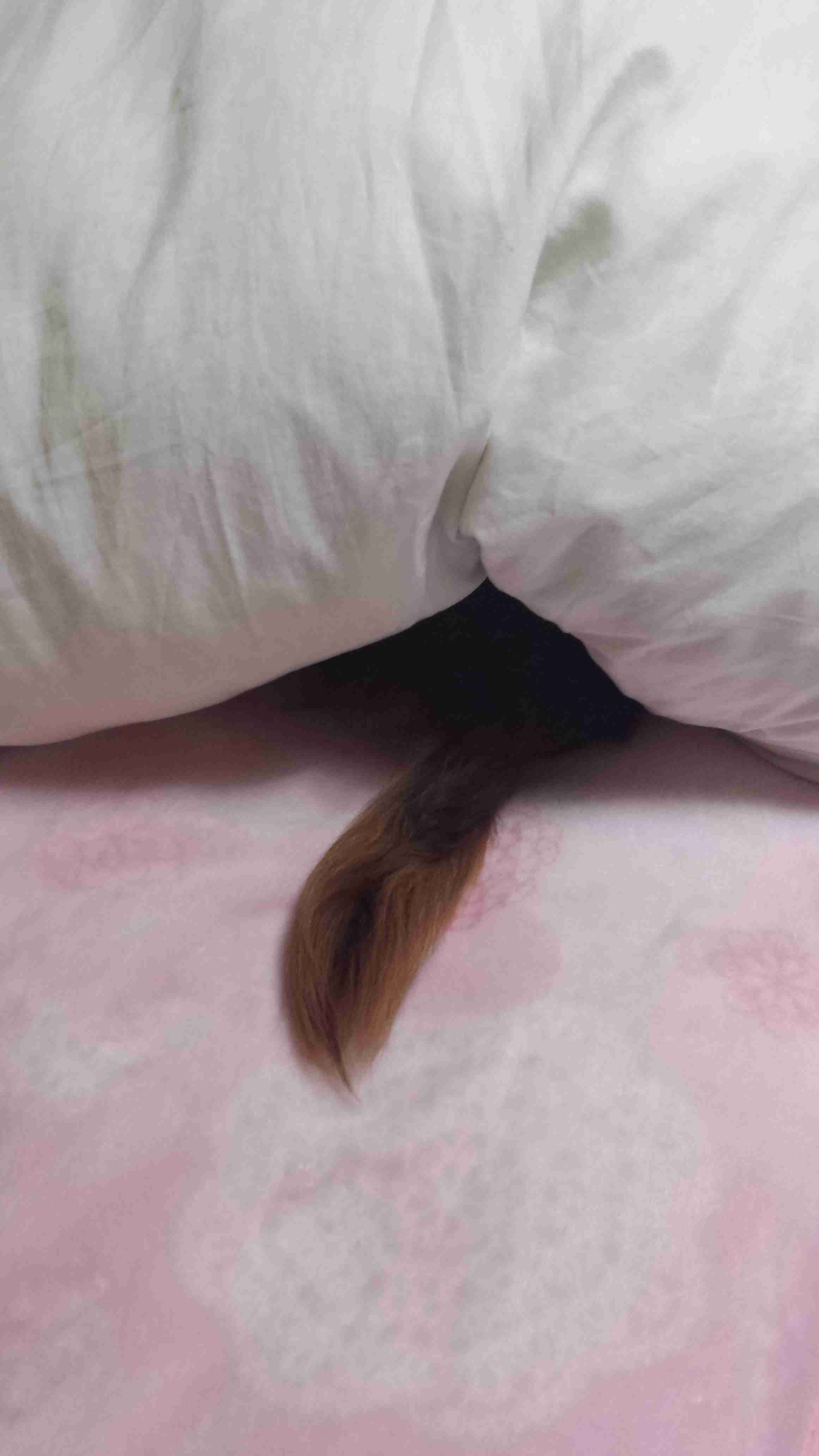 色んな尻尾が見たい！