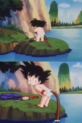 色んな尻尾が見たい！