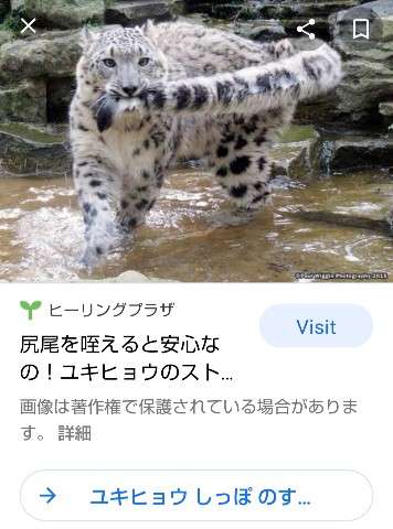 色んな尻尾が見たい！