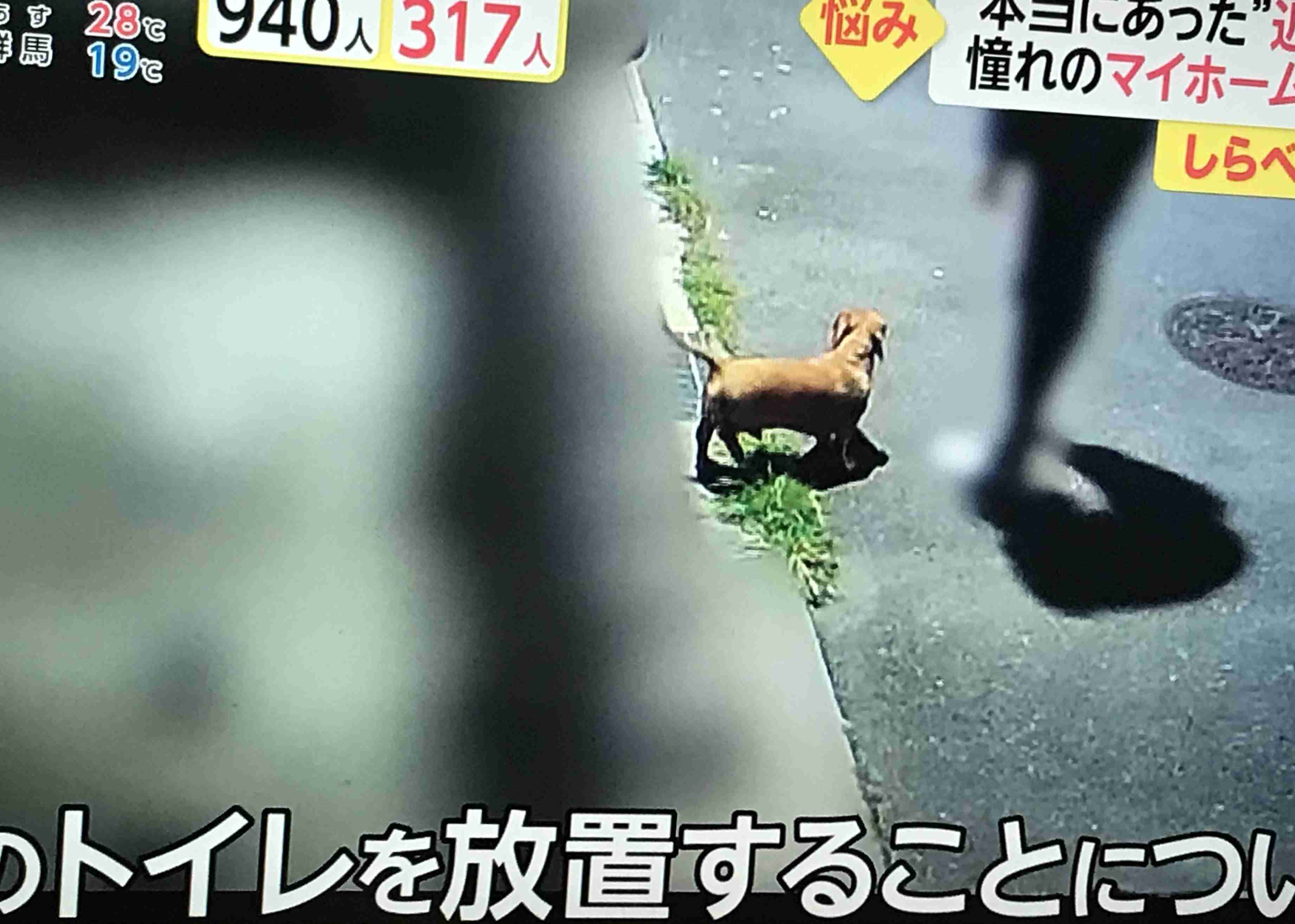 道路族に悩む人集まれー！