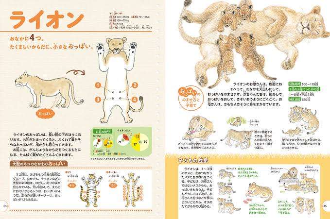 がんばれお母さん！8匹の子猫に平等にお乳を与える母猫の授乳スタイル