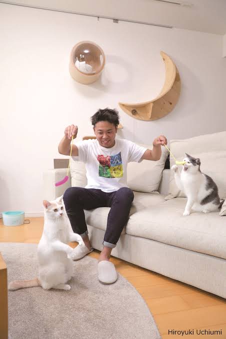 安心して見ることができる芸能人