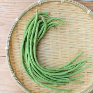 歯ごたえがあるな!と思う食べ物のトピ