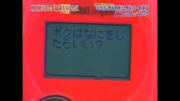 【トリビアの泉】印象的なトリビア