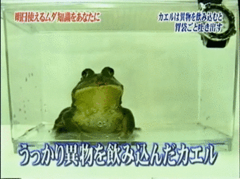 【トリビアの泉】印象的なトリビア