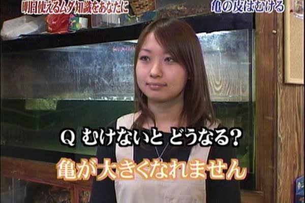 【トリビアの泉】印象的なトリビア