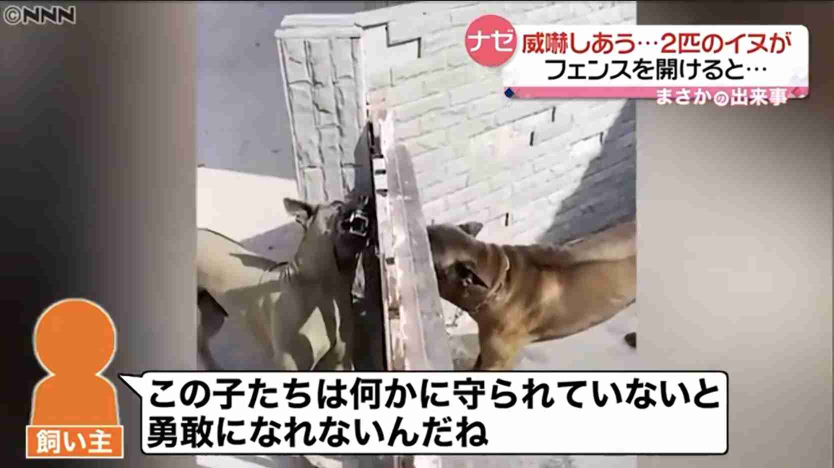 朝までガルチャンしていたい人の深夜雑談トピpart5