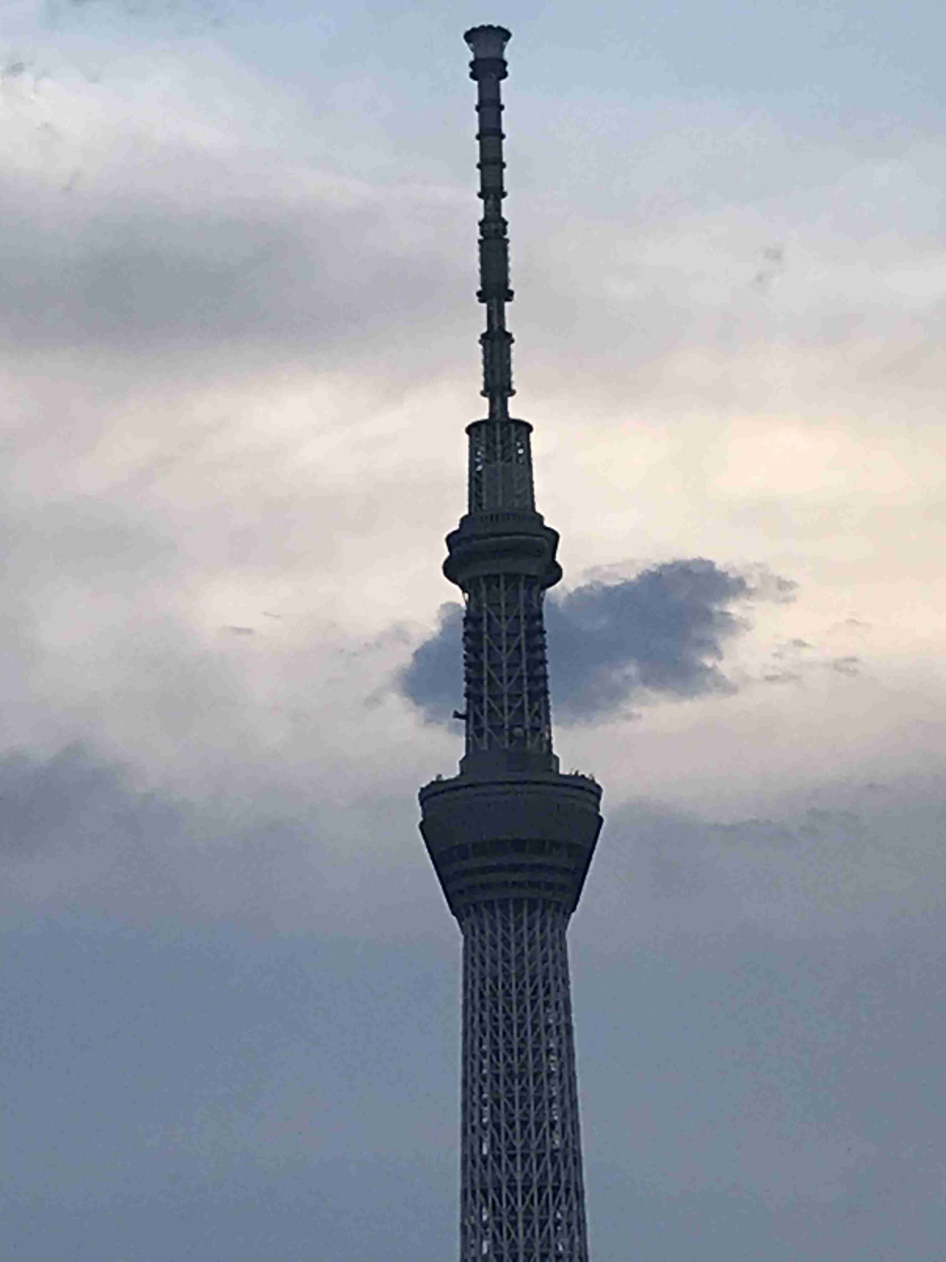 関東甲信地方・東北地方が梅雨明け 約1か月の短い梅雨に