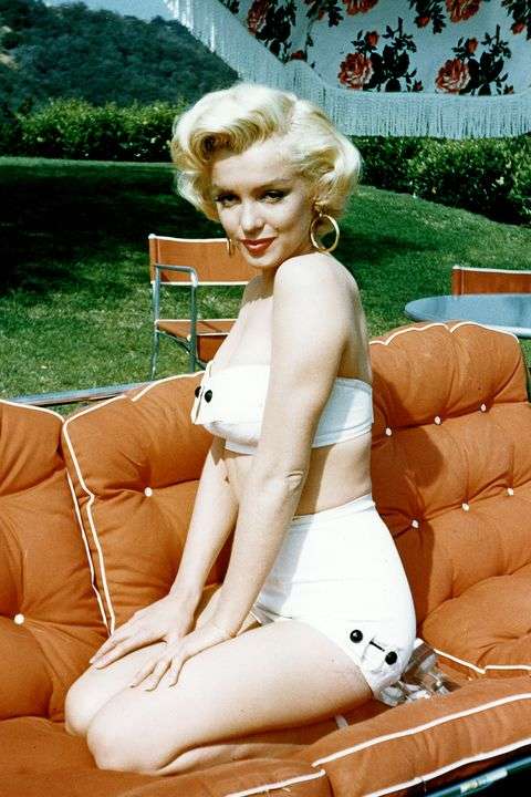 有名人のキッチンが見たい！