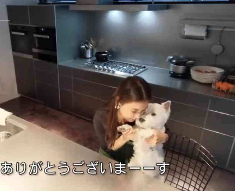 有名人のキッチンが見たい！