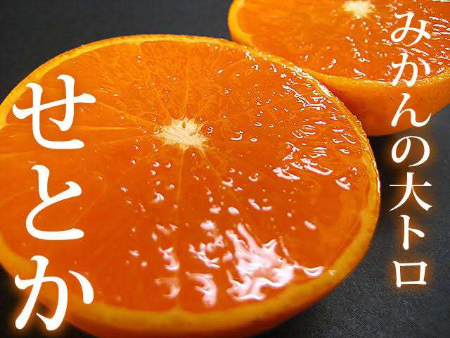 ガリガリ君の新作を考えて食べたかったらプラス