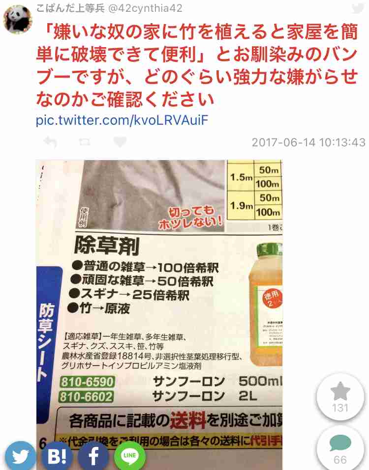 隣家のガーデニング問題