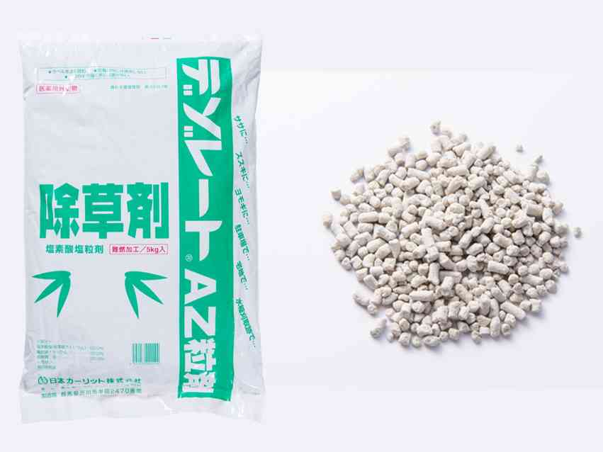 隣家のガーデニング問題