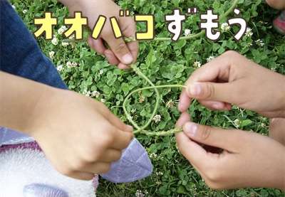 「この遊び忘れてた！」　猫じゃらしを逆さに握ってモミモミすると…懐かしすぎる光景に子供時代が蘇る