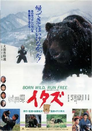 【サメ映画】アニマルパニック映画のおすすめ【ワニ映画】