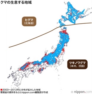 「家の近くにクマがいた」住民から連絡…体長約2ｍ 付近の
