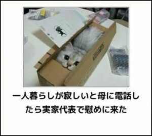 親離れしたなぁ、と感じ瞬間はどんな時でしたか？