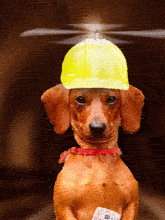 ゆる〜い会社にお勤めの方いますか?part12