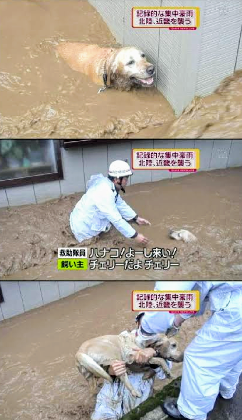 人からビックリされたこと