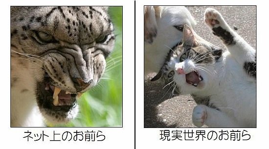 「鬼滅の刃」歌姫LiSAの夫・鈴木達央がファン女性とホテル不倫「彼女の誕生日を夜景でお祝い…」