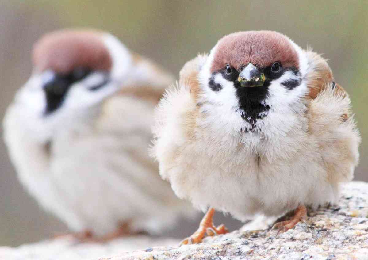 なぜ皆スタイル良いの？