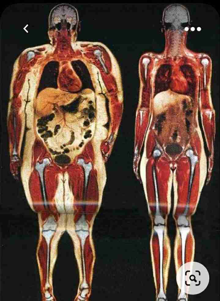 なぜ皆スタイル良いの？