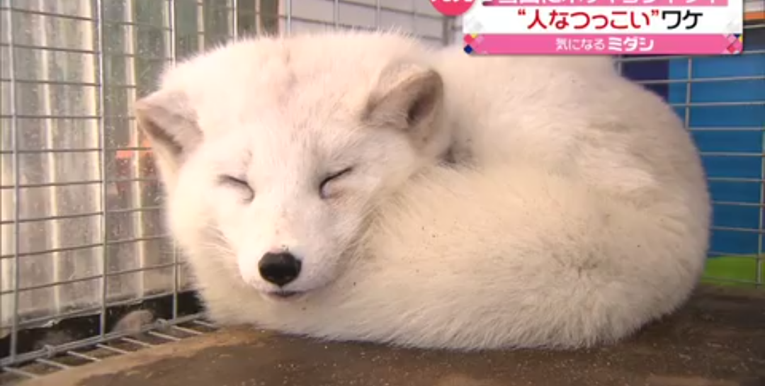 寝るときの体勢