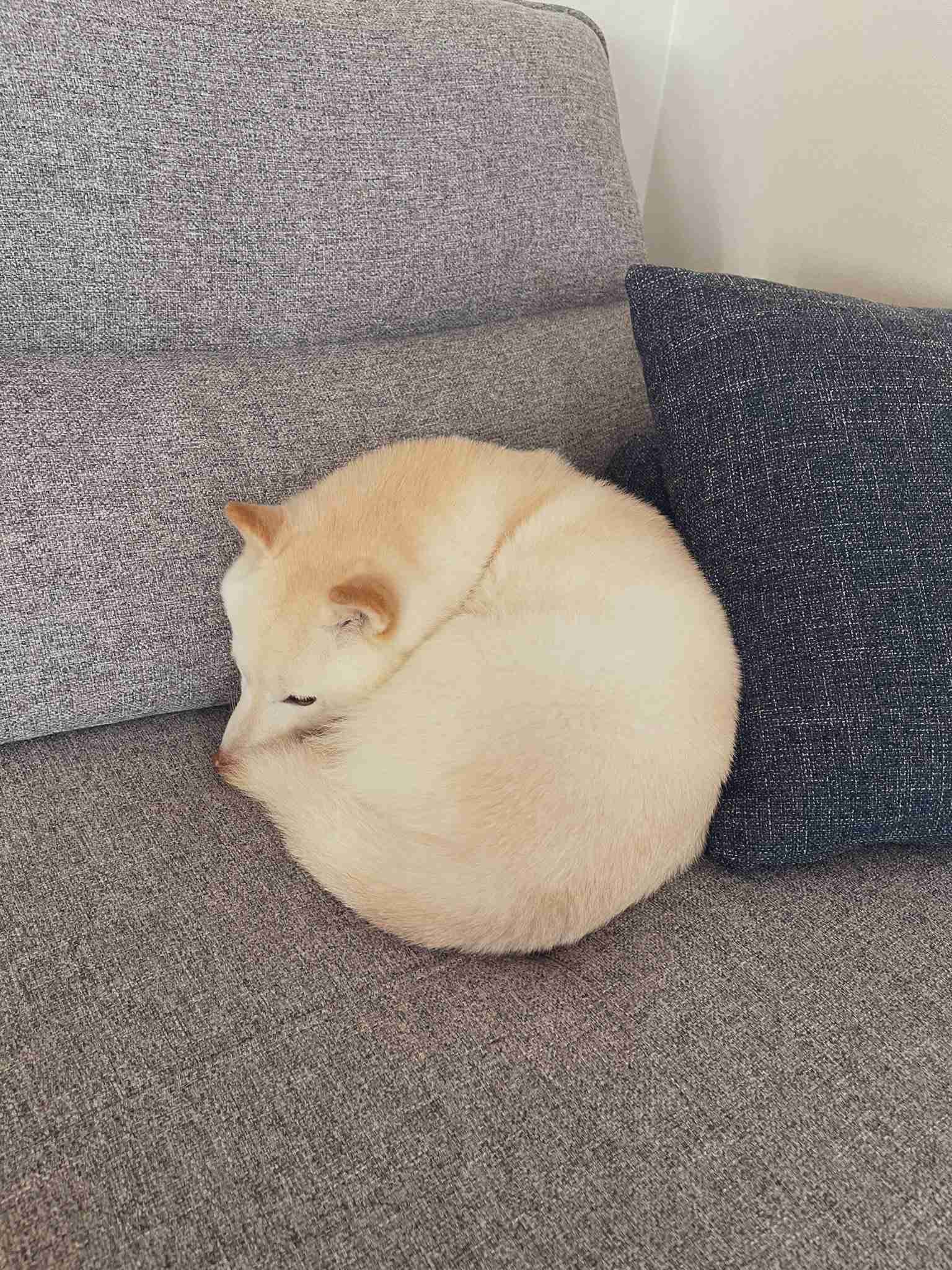 寝るときの体勢
