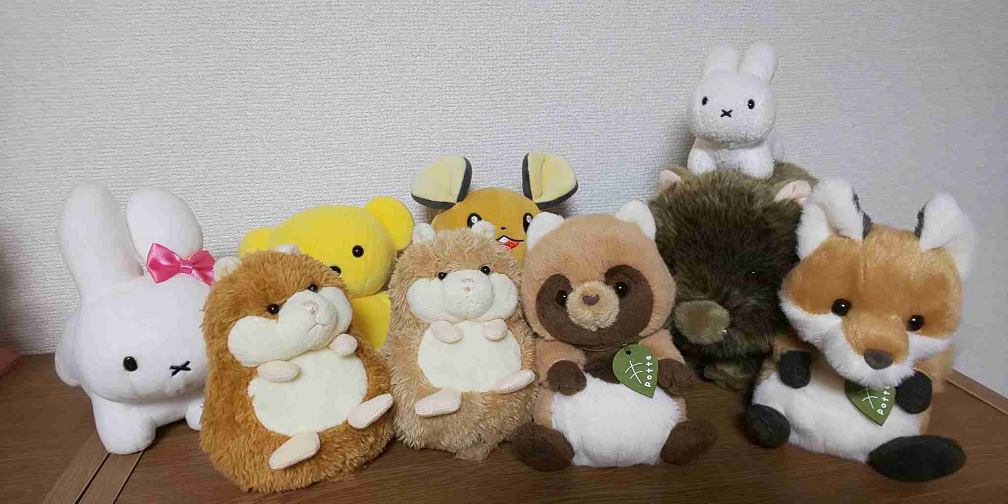 ぬいぐるみを溺愛してる人集合【part5】