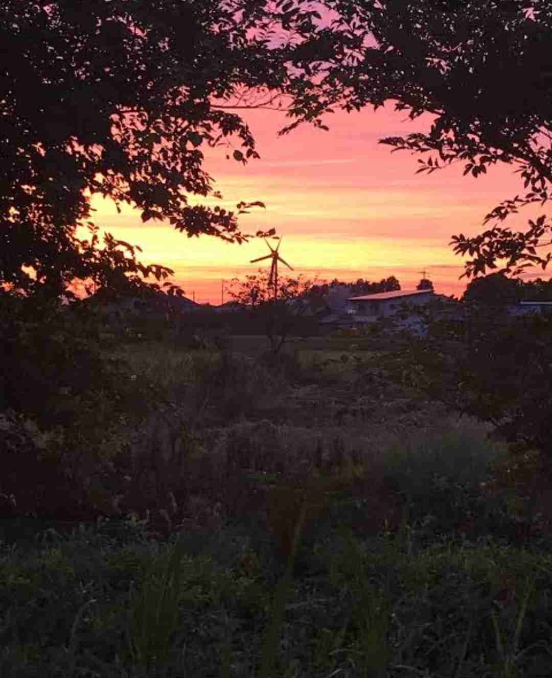 【画像】夏の終わりを感じさせる情景