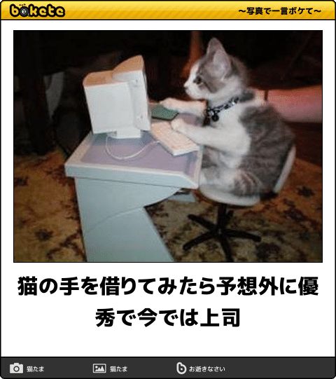 皆の好きなボケて画像が見たいpart2