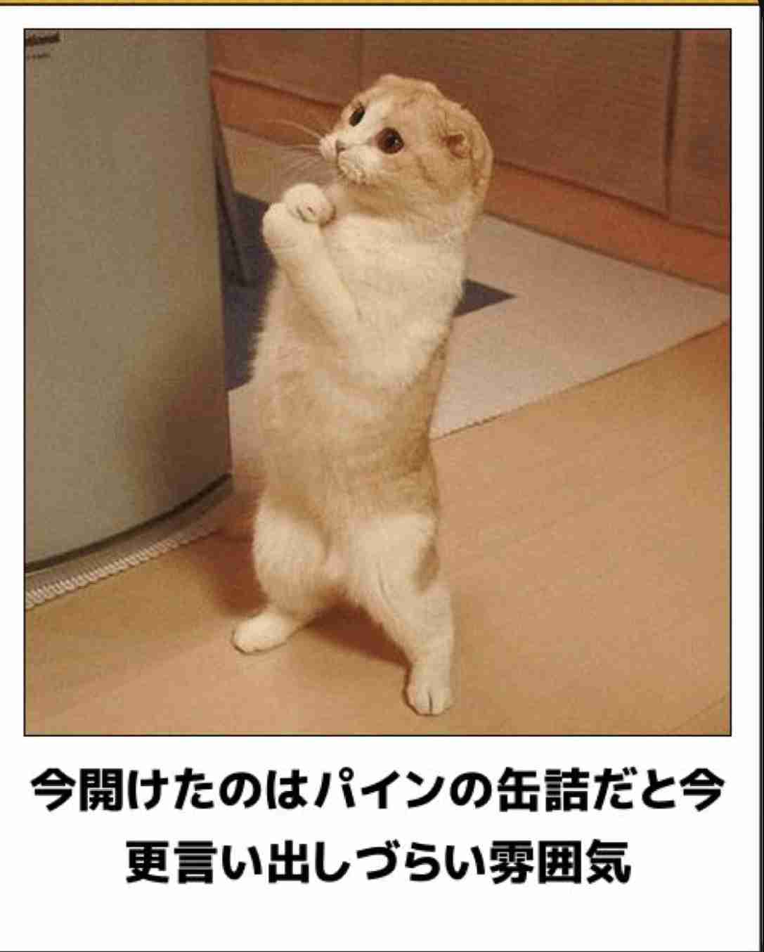 皆の好きなボケて画像が見たいpart2